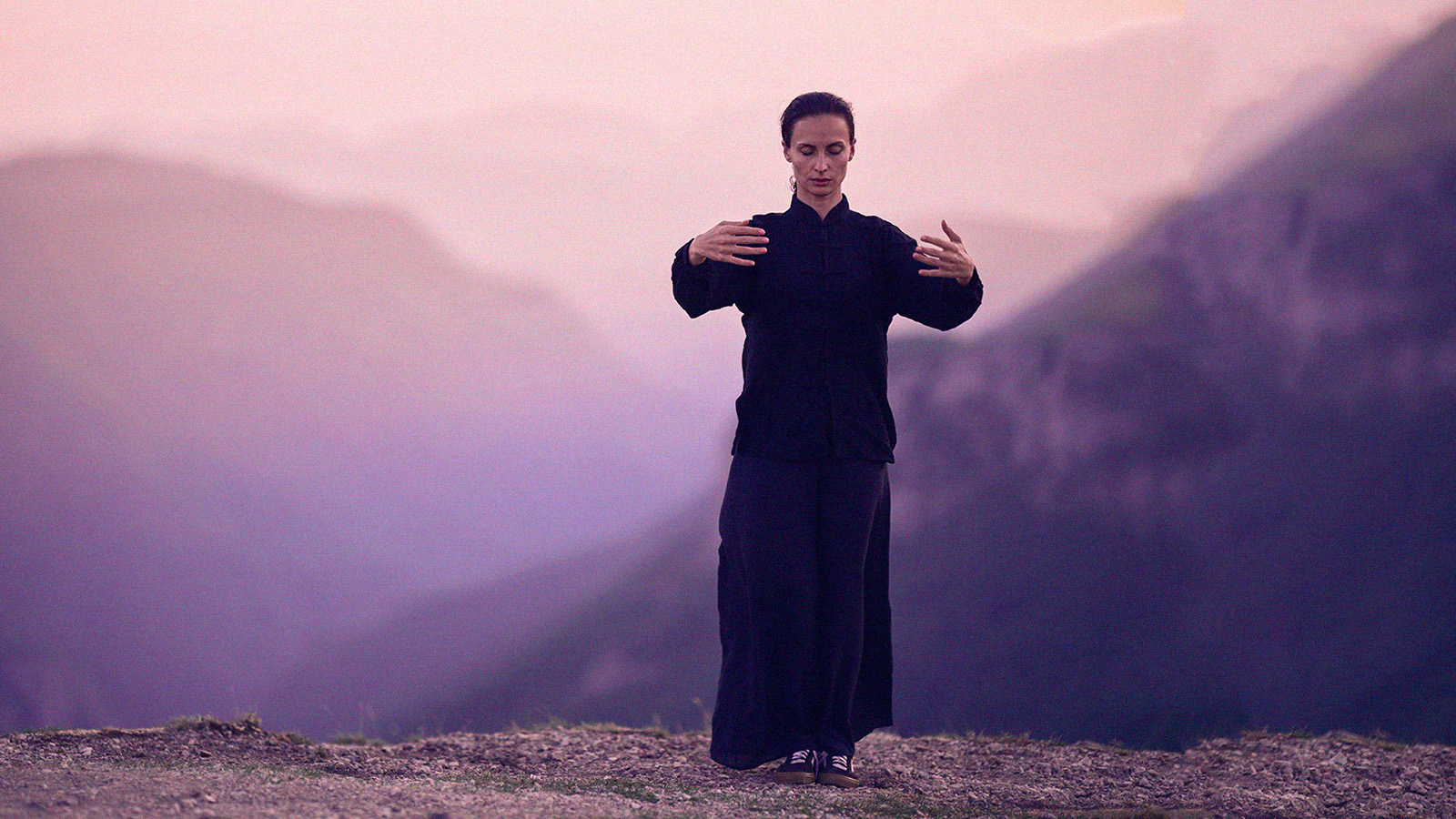 Цигун дерево