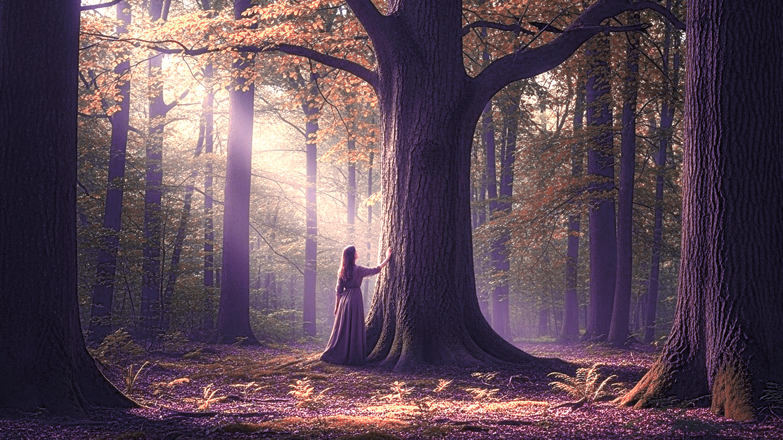 Иллюстрация к статье: Гороскоп друидов: раскройте тайну своего дерева-покровителя