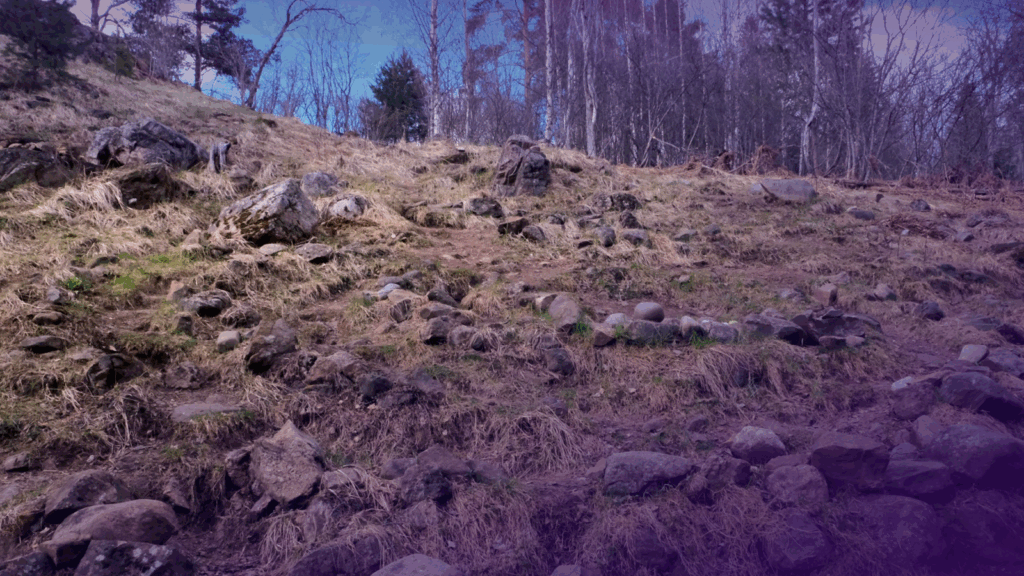 Иллюстрация к статье: Лабиринт Алхо — исполнитель желаний