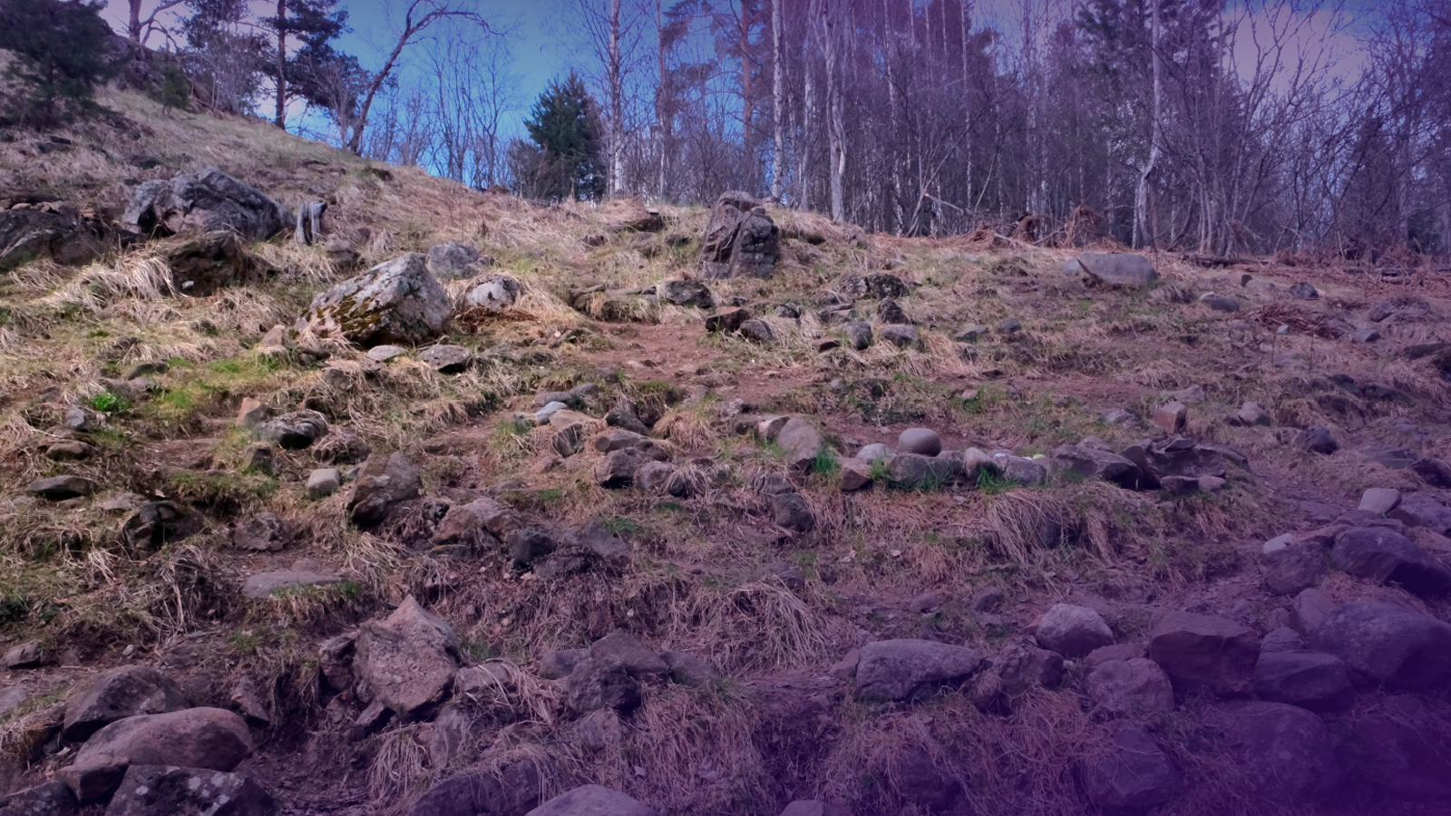 Лабиринт Алхо