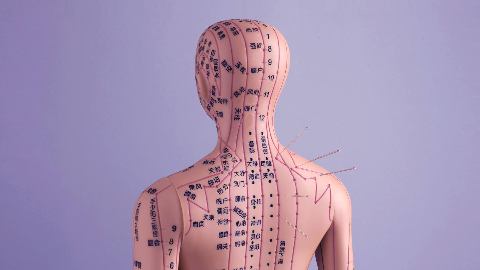 Иллюстрация к статье: Акупунктура: сколько игл можно воткнуть в тело человека?