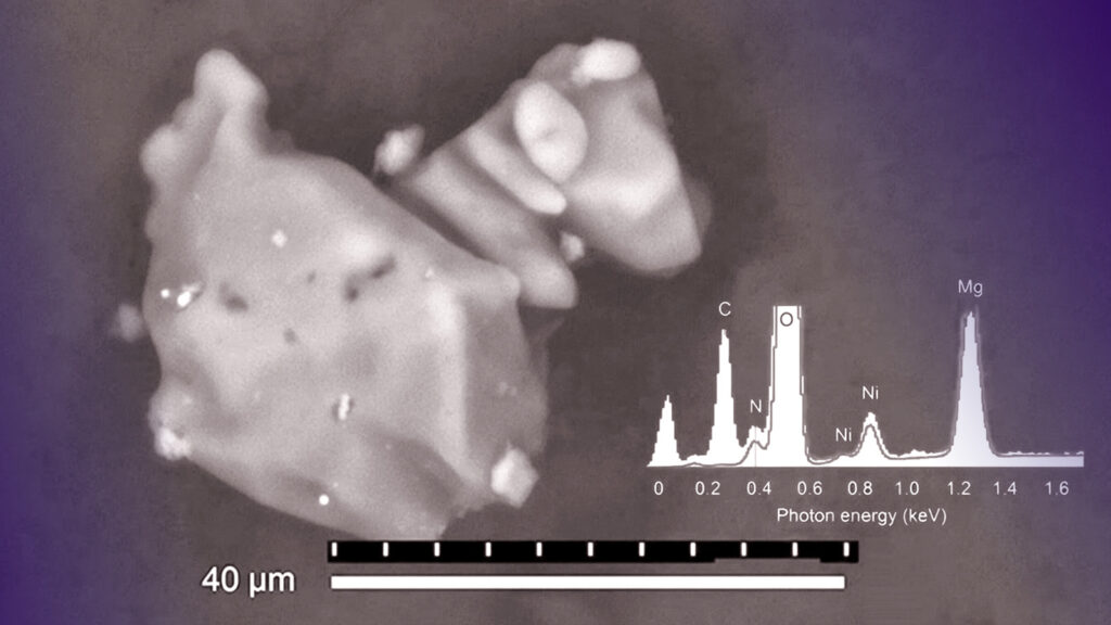 Иллюстрация к статье: Находка в&nbsp;метеорите прояснила тайну появления жизни на&nbsp;Земле