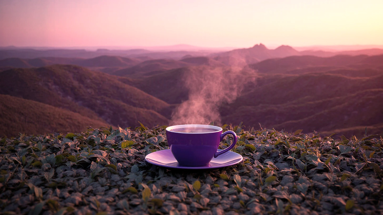 Иллюстрация к статье: Способ заварки влияет на полезные свойства чая