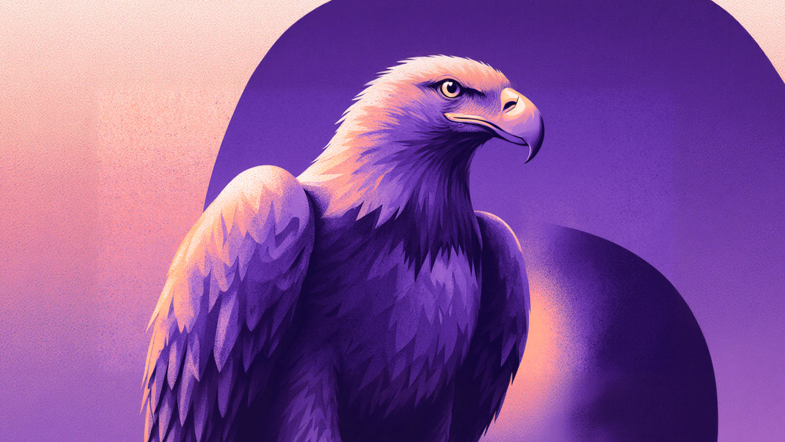 Иллюстрация к статье: Символ власти: что означает орёл в культурах мира