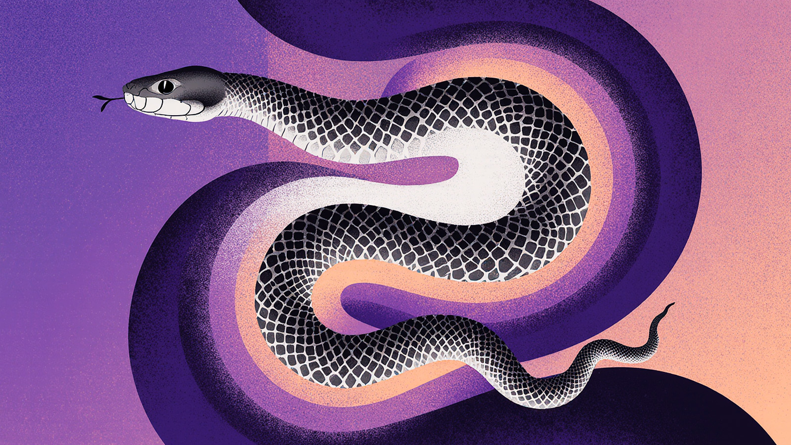 Иллюстрация к статье: Приносит удачу и видит суть: что означает змея в культурах народов
