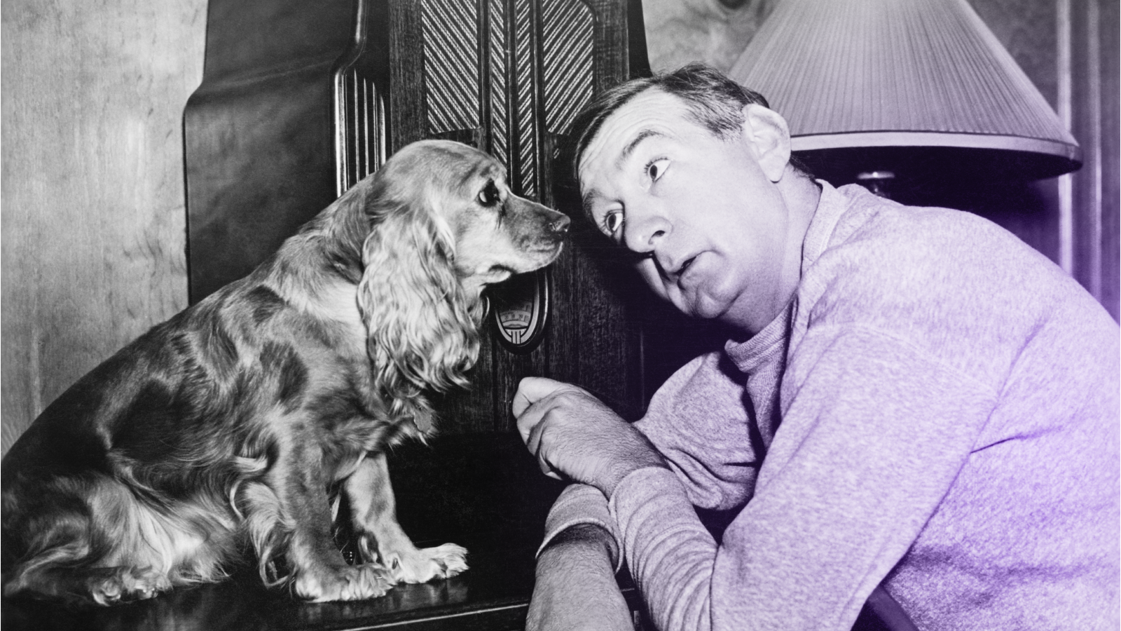 Иллюстрация к статье: Настроение людей влияет на восприятие эмоций собак