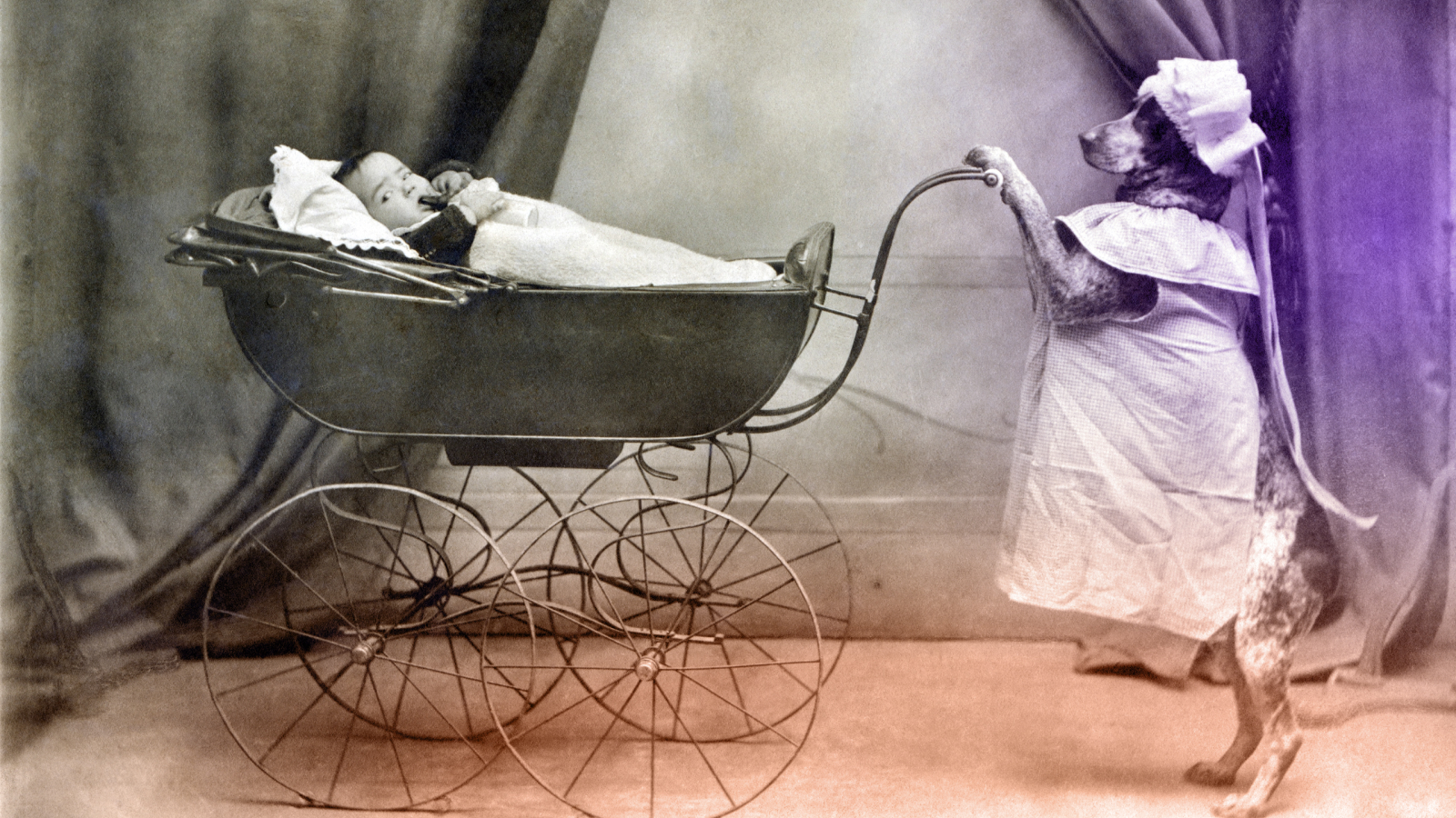 Иллюстрация к статье: Усатые хранители: от каких негативных воздействий защищают собаки